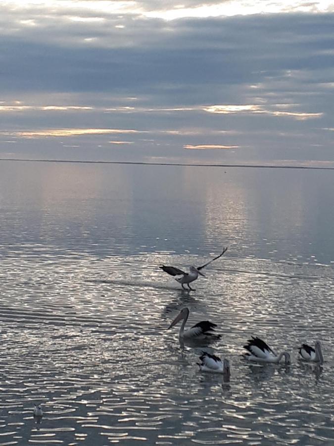 Meningie Waterfront Motel Екстериор снимка
